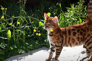 604 X 400  76.6 Kb 604 X 400  71.5 Kb  !