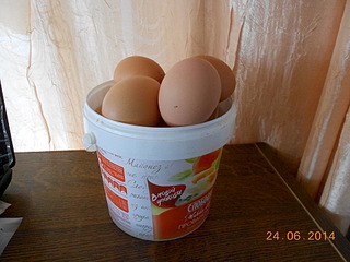 1920 X 1440 595.4 Kb �������� ����