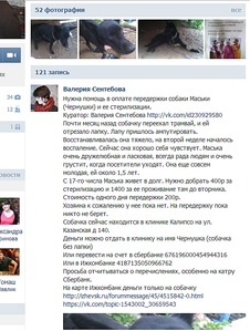 578 X 765 234.6 Kb Помочь или отпустить? Собака без лапы