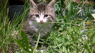 1024 X 576 332.5 Kb 1024 X 576 287.6 Kb 1024 X 576 367.8 Kb 768 X 1280 228.6 Kb    