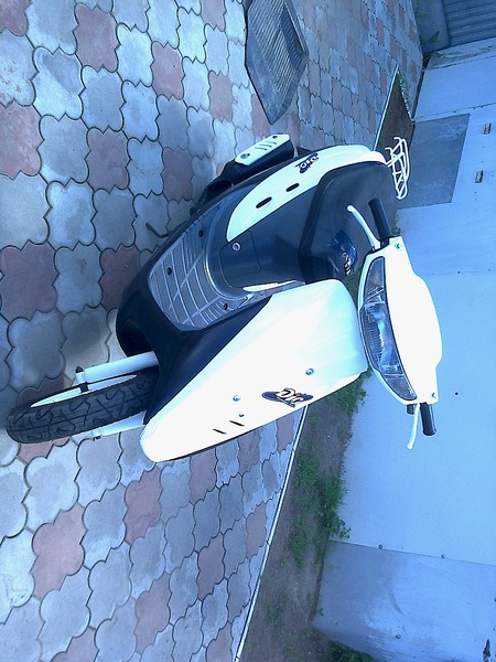 1536 X 2048 928.1 Kb   