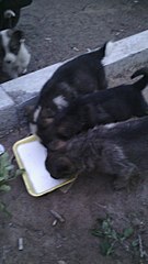 1152 X 2048 376.1 Kb 1152 X 2048 393.5 Kb     