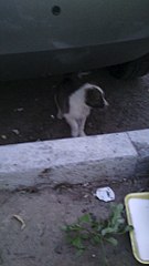 1152 X 2048 334.4 Kb 1152 X 2048 376.1 Kb 1152 X 2048 393.5 Kb     