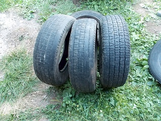 1024 X 768 493.9 Kb   /