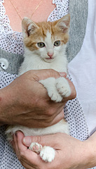 1144 X 2000 245.6 Kb  .