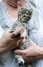 1273 X 2000 327.0 Kb 1144 X 2000 245.6 Kb  .