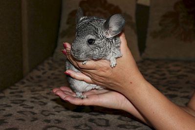 1920 X 1280 184.8 Kb 1920 X 1280 205.5 Kb 1515 X 1046 205.0 Kb  