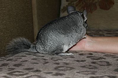 1920 X 1280 239.8 Kb 1920 X 1280 184.8 Kb 1920 X 1280 205.5 Kb 1515 X 1046 205.0 Kb  