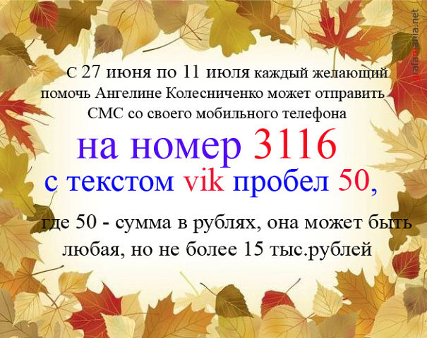 605 x 480 Счет на реабилитацию. АНГЕЛИНА КОЛЕСНИЧЕНКО, . РАК КРОВИ. РЕАБИЛИТАЦИЯ ПОСЛЕ ТКМ,