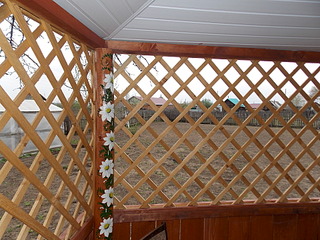 1920 X 1440 832.2 Kb 1920 X 2560 483.9 Kb    ?