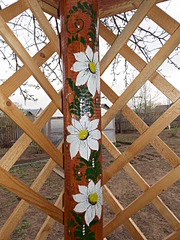 1920 X 2560 596.2 Kb    ?