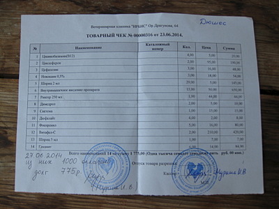 1920 X 1440 495.2 Kb Котенок с 'облаком в штанах') нуждается в помощи для лечения