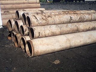 1600 X 1200 485.6 Kb   /  (),