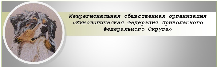 706 x 218 кинологическая федерация приволжского федерального округа. welcome!