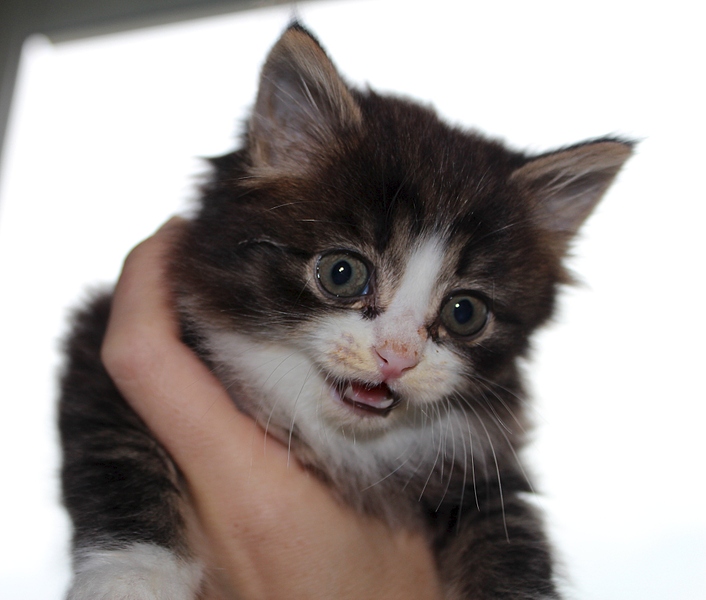 1920 X 1631 632.3 Kb ������� ����� (�������) � ������� �����