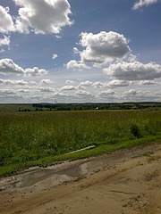 1920 X 2560 470.8 Kb  , ., , 300 .