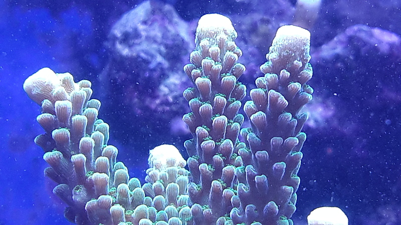 1920 X 1080 748.1 Kb 1920 X 1080 747.7 Kb 1920 X 1080 809.3 Kb Глубокое синее море.