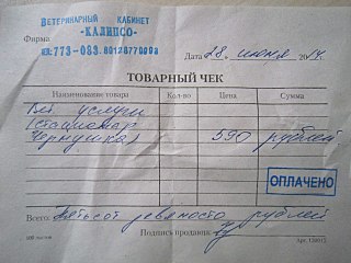 1280 X 960 198.3 Kb Помочь или отпустить? Собака без лапы