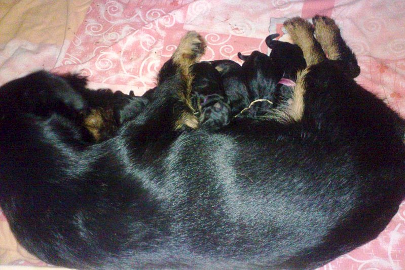 1024 X 683 156.5 Kb 1024 X 768 134.2 Kb 1024 X 768 132.6 Kb 399 x 599 492 x 600 ' -   '