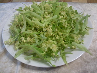 1920 X 1440 514.3 Kb Любите ли вы лето