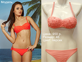 1588 X 1200 304.4 Kb ,   (  ) -  42  58