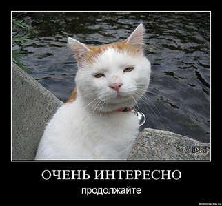 604 X 561  69.0 Kb  canon ef-s 18-135 ( 200) is usm ( stm)