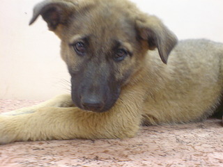 1920 X 1440 449.9 Kb 1536 X 2048 801.0 Kb 1536 X 2048 793.3 Kb 1536 X 2048 828.0 Kb   - .     .   .