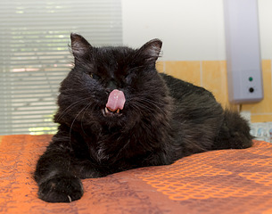 1920 X 1510 625.2 Kb 1920 X 1465 697.8 Kb 1920 X 1362 703.6 Kb     .   -  ).