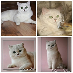 1024 X 1024 520.8 Kb 1765 X 1177 160.6 Kb 1118 X 745  85.7 Kb 802 X 1203 100.6 Kb 936 X 1404 109.5 Kb    