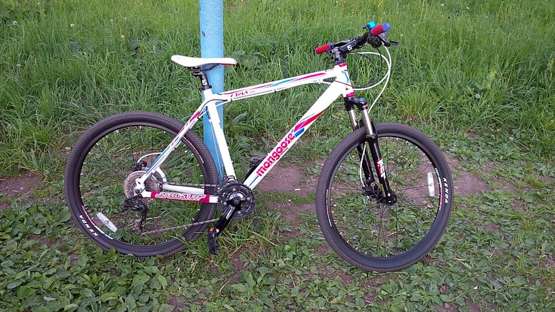 1920 X 1080 693.2 Kb   Mangoose tayex expert ,   L ,( 2013)