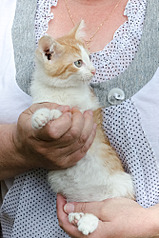 1329 X 2000 313.4 Kb 1144 X 2000 245.6 Kb     .