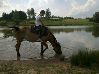 1920 X 1440 587.8 Kb  :  ,  , ...