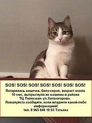 768 X 1024 106.8 Kb 1600 X 1200 324.7 Kb  