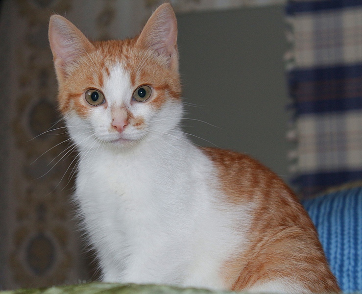 1920 X 1557 884.0 Kb    .   . 3 . .