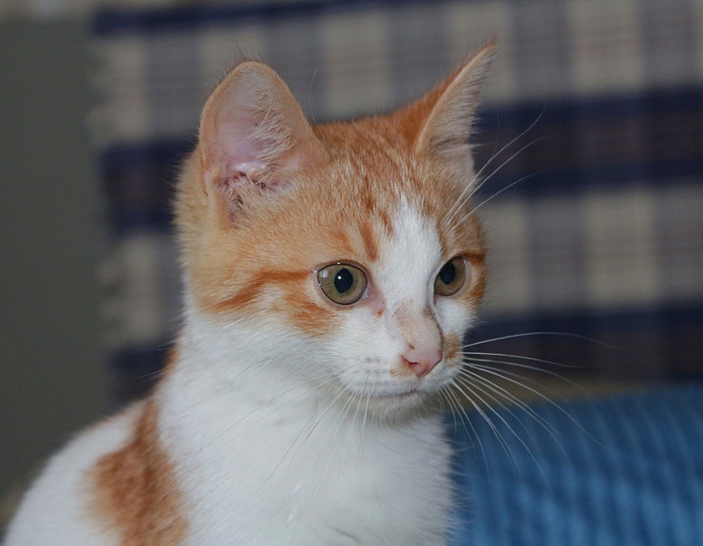 1920 X 1490 806.3 Kb    .    . 3 .