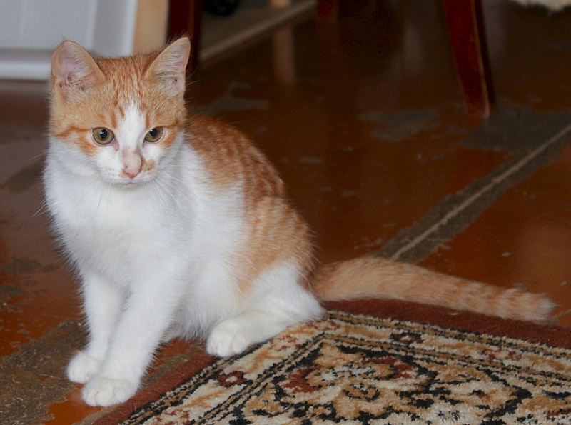 1920 X 1428 824.2 Kb    .    . 3 .