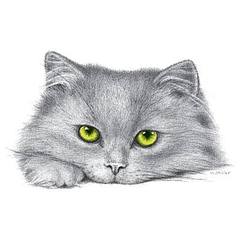 400 X 400 16.5 Kb 400 X 400 26.8 Kb 400 X 400 22.3 Kb 400 X 400 33.8 Kb 400 X 400 25.0 Kb  ! !