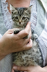 1302 X 2000 424.9 Kb    .