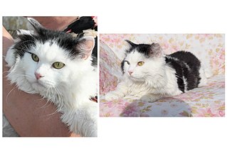 1772 X 1181 242.3 Kb   - !