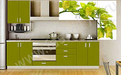 242 x 150 176 x 150 223 x 150  