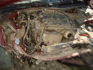 640 X 480 136.9 Kb 640 X 480 103.2 Kb 640 X 480 101.1 Kb    2008 .. 1,6 