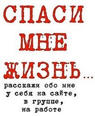 200 X 246 15.9 Kb Сносят дом - осталось 6 кошек