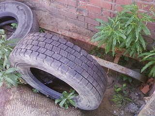 1600 X 1200 420.3 Kb 1600 X 1200 294.4 Kb   R 17.5