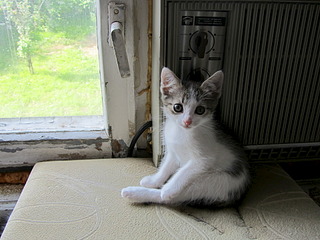 1920 X 1440 635.3 Kb  