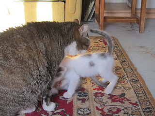 1920 X 1440 596.7 Kb 1920 X 1440 635.3 Kb  