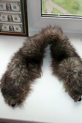 430 X 644 153.1 Kb 644 X 430 165.0 Kb 644 X 430 200.3 Kb 644 X 430 209.5 Kb 644 X 430 198.7 Kb   10 !