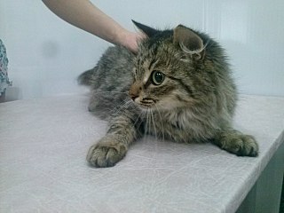 1280 X 960 148.4 Kb 1280 X 960 135.7 Kb 1280 X 960 138.8 Kb    -  !