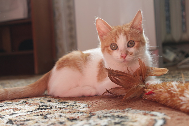 1920 X 1280 346.9 Kb    .    , 3 .