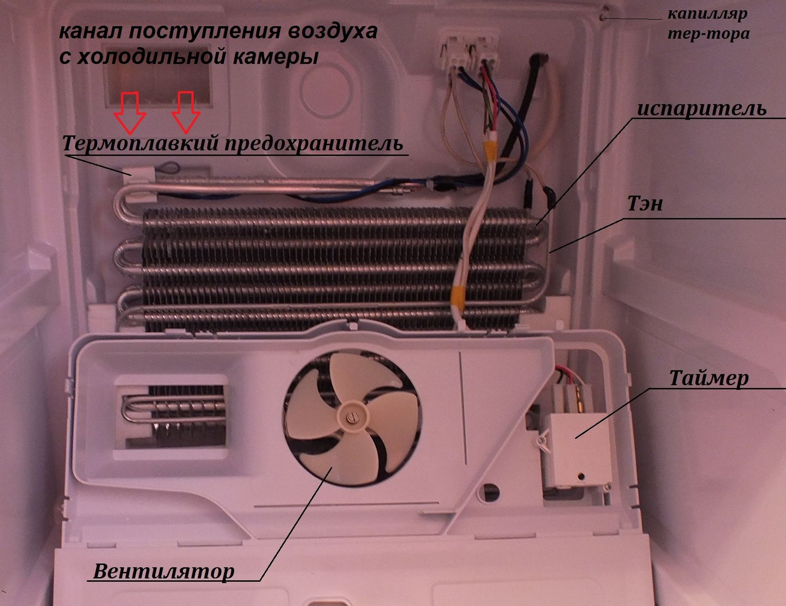 Замена термостата индезит. Индезит ноу Фрост система. Вентилятор для морозильной камеры Индезит ноу Фрост.