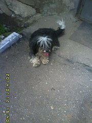 768 X 1024 131.0 Kb       !